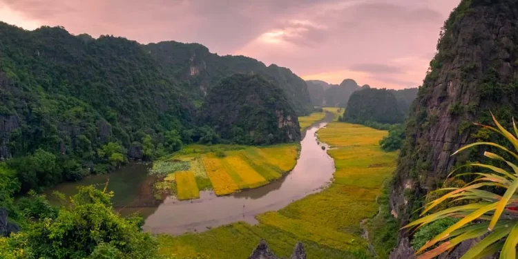 تأشيرة فيتنام العاجلة للإماراتيين – كل ما تحتاج معرفته للحصول عليها خلال يوم واحد!