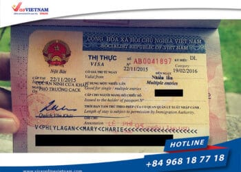 Unlocking Global Opportunities – Vietnam Visa for Central African Travelers
